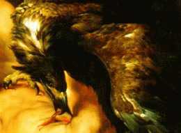 Rubens:
    Prometheus Bound (detail of bird)