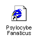 Psylocybe Fanaticus