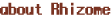 About Rhizome.org